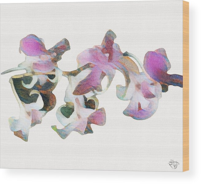 Flowers Wood Print featuring the digital art Floral Study 15 by Red Ram