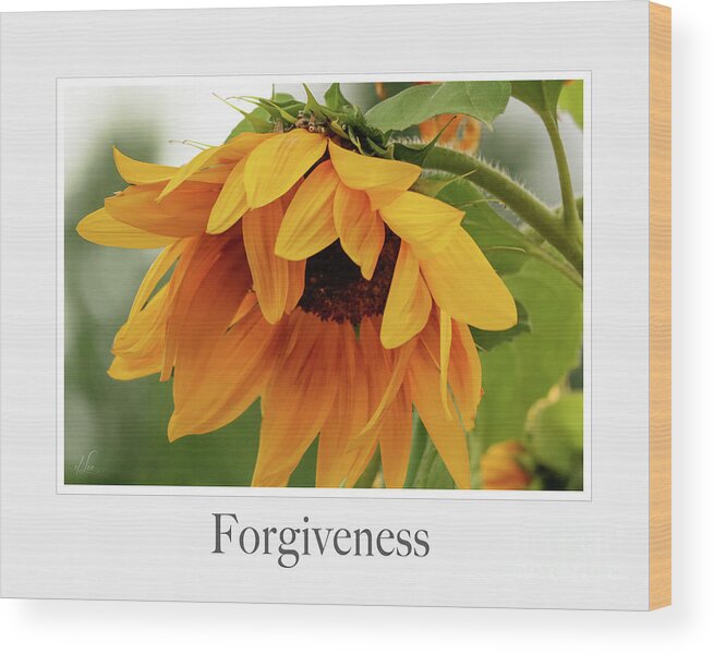 Emotions Wood Print featuring the photograph Forgiveness by D Lee