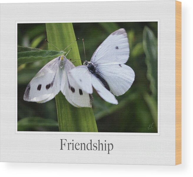 Friendship Wood Print featuring the photograph Friendship by D Lee