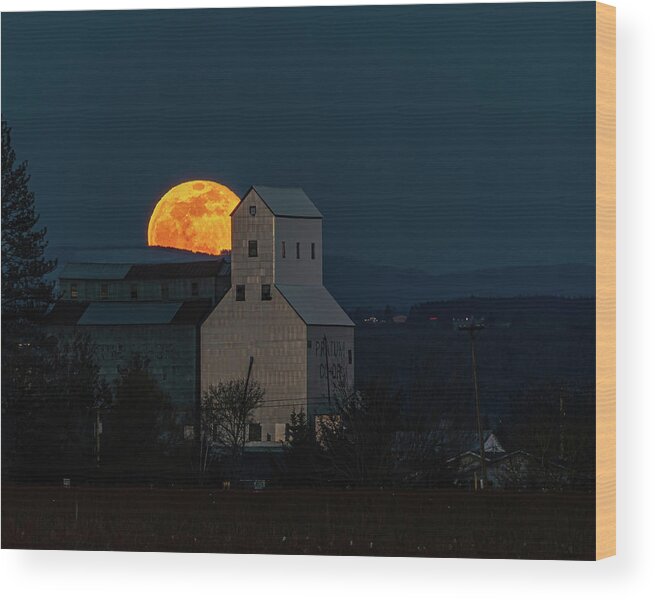 Full Moon Rise Wood Print featuring the photograph Full moon by Ulrich Burkhalter