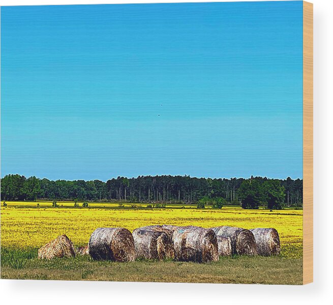 Wildflower Wood Print featuring the photograph Golden Fields by Lee Darnell