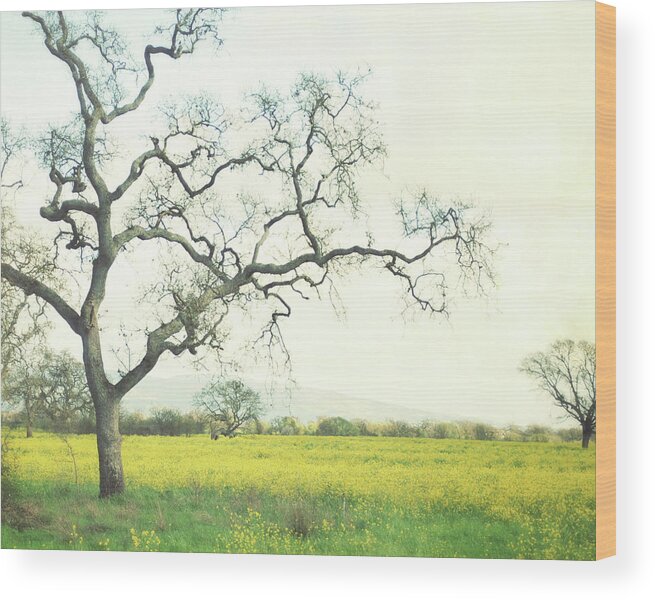 Landscape Photography Wood Print featuring the photograph Green Gold by Lupen Grainne