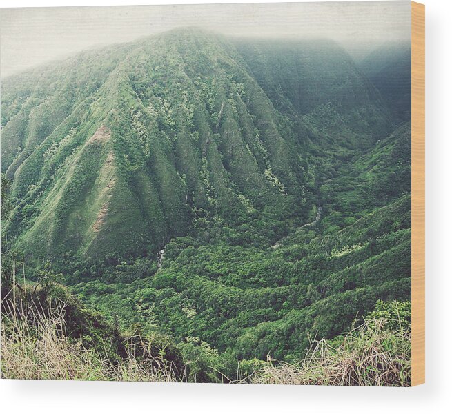 Hawaii Wood Print featuring the photograph Green Valley by Lupen Grainne