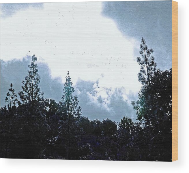 Tree Wood Print featuring the photograph Grey Days by Andrew Lawrence