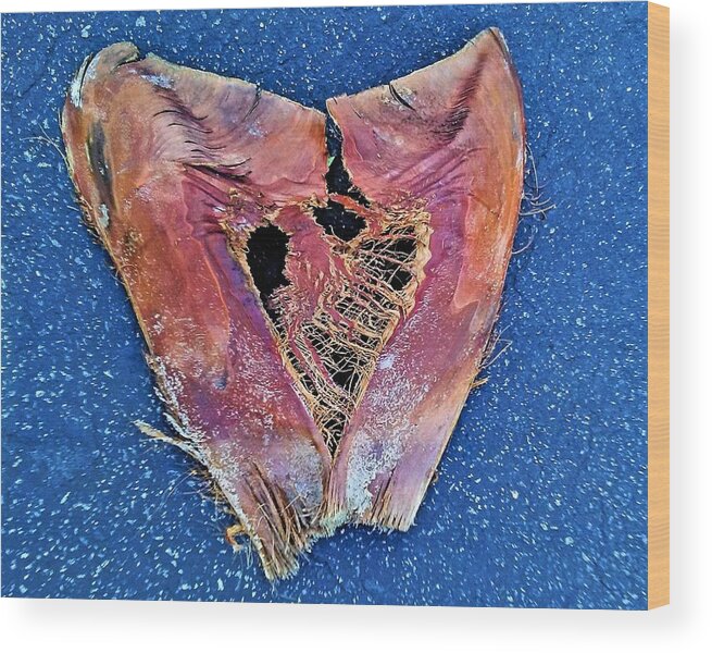 Blue Wood Print featuring the photograph Heart Bark Blue by Andrew Lawrence