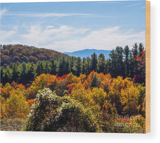 Blue Ridge Parkway Wood Print featuring the photograph Hiking on the Max Patch Trail in North Carolina by L Bosco