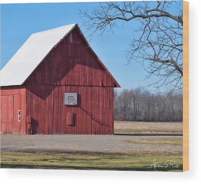 Basketball Wood Print featuring the photograph Hoops in the Heartland by Andrea Platt
