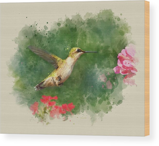 Hummingbird Wood Print featuring the mixed media Hummingbird - Watercolor Art by Christina Rollo