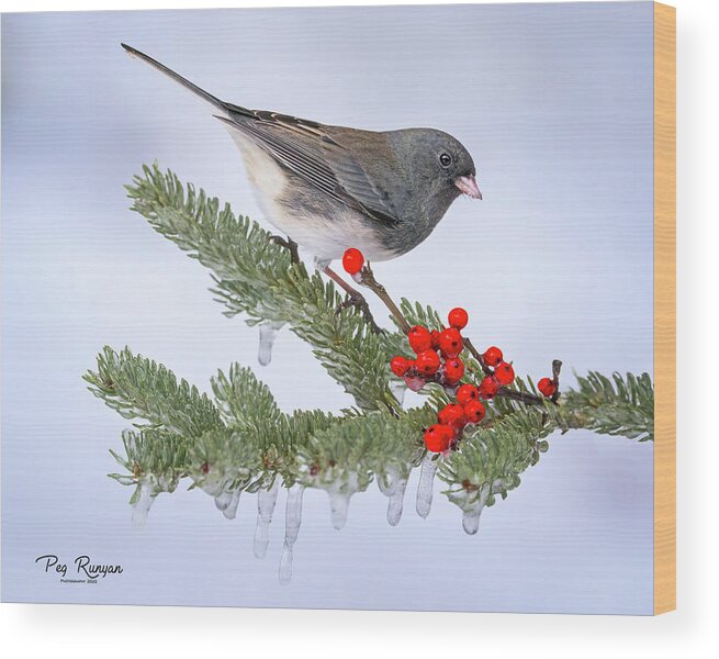 Bird Wood Print featuring the photograph Icy Morning by Peg Runyan