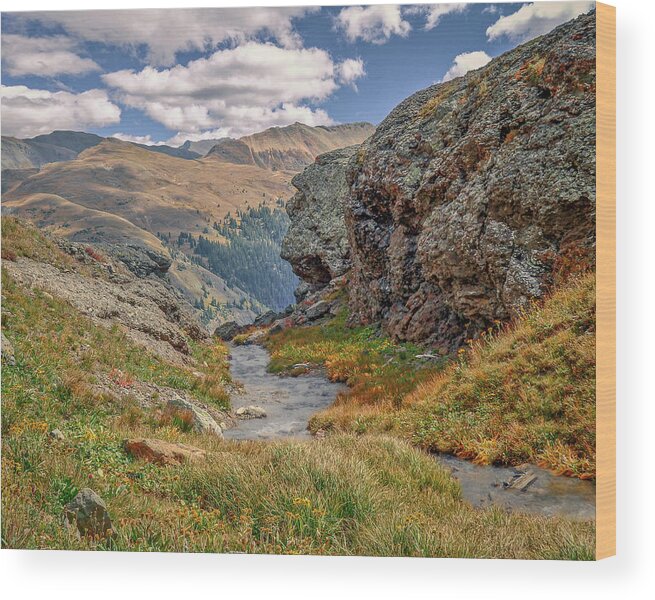  Wood Print featuring the photograph June 2023 Porphyry Gulch Afternoon by Alain Zarinelli
