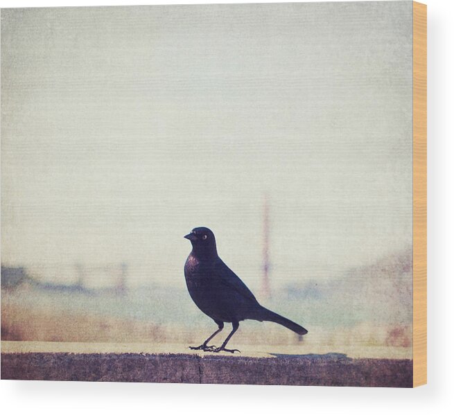 Bird Wood Print featuring the photograph Just Stopping By by Lupen Grainne