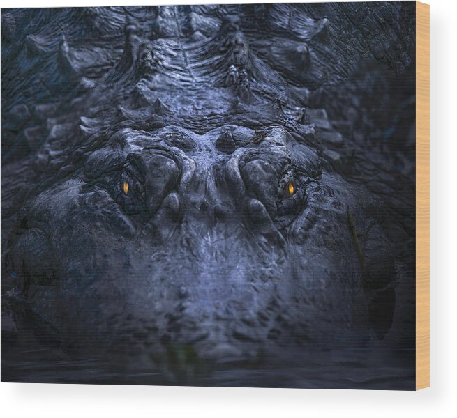 Alligator Wood Print featuring the photograph Kingdom of the Alligator by Mark Andrew Thomas