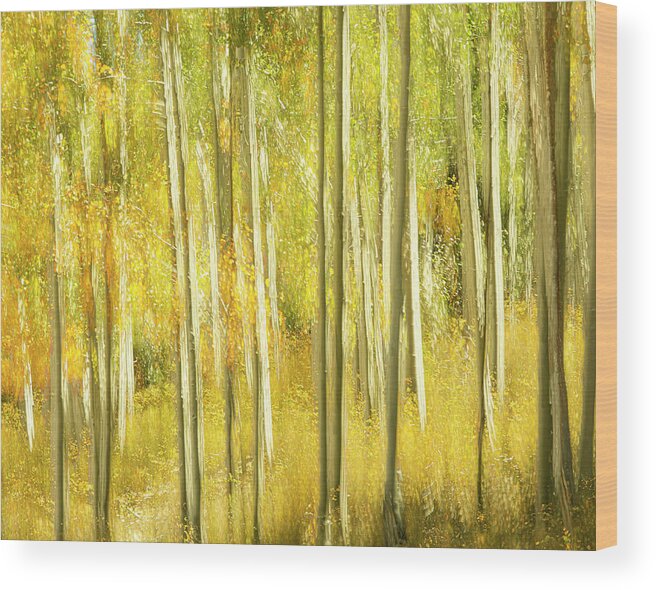 Autumn Wood Print featuring the photograph La Sal Mountain Fall by Deborah Hughes