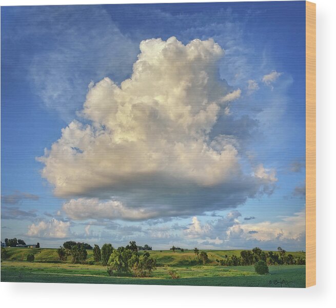 Landscape Wood Print featuring the photograph Late July Evening by Bruce Morrison