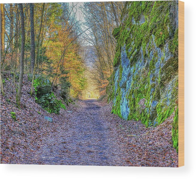 Creeper Trail Wood Print featuring the photograph Light at Trail's End by Dale R Carlson