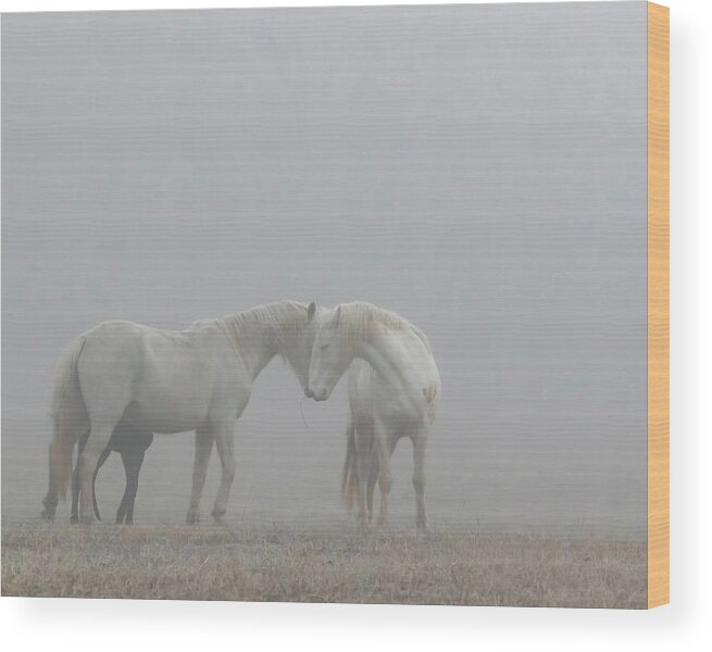 Wild Horses Wood Print featuring the photograph Love is all you need by Holly Ross