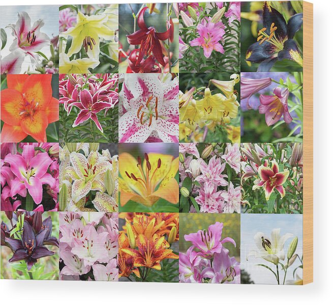 Lily Wood Print featuring the photograph Luscious Lilies by Tim Gainey