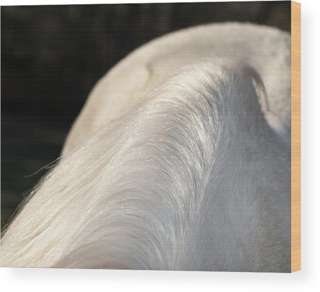 Abstract Wood Print featuring the photograph Mane Abstract by Phil And Karen Rispin