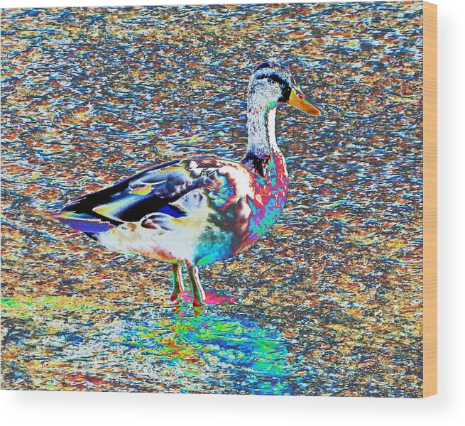 Bird Wood Print featuring the photograph Modern Abstract Duck by Andrew Lawrence