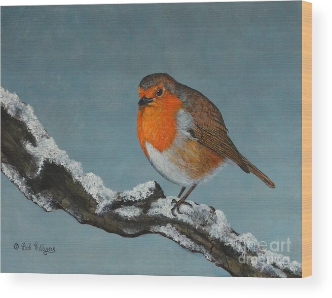 Robin Wood Print featuring the painting Mr Robin Toughening Out Mr Winter by Bob Williams