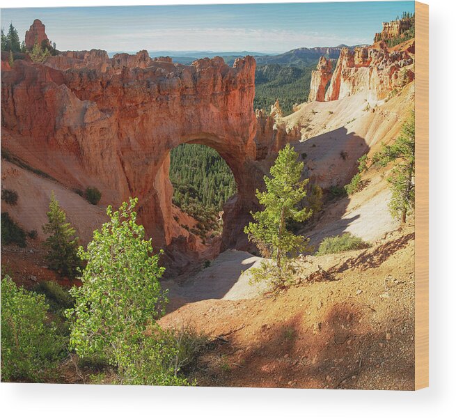 Bryce Wood Print featuring the photograph Natural Arch by Aaron Spong