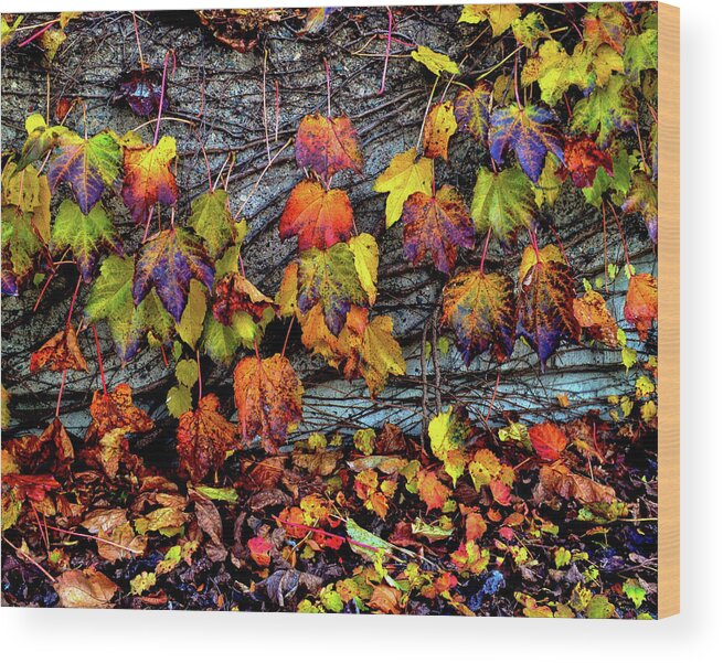 Fall Wood Print featuring the photograph Nature's Garland by Susie Loechler