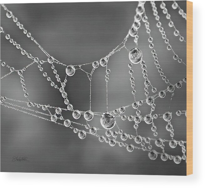 Spider Web Wood Print featuring the photograph Natures Jewels by Shara Abel