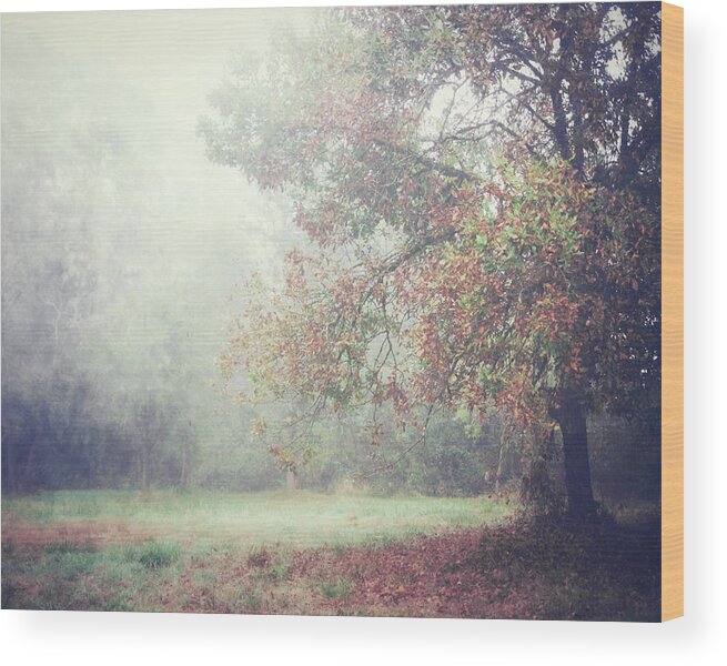 Autumn Wood Print featuring the photograph October Meadow by Lupen Grainne