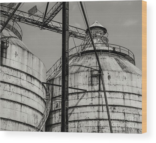 Agriculture Wood Print featuring the photograph Old Grain Silo by Paul Quinn