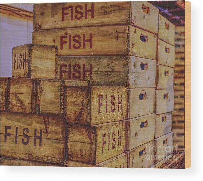 Old wooden fish transport boxes Wood Print