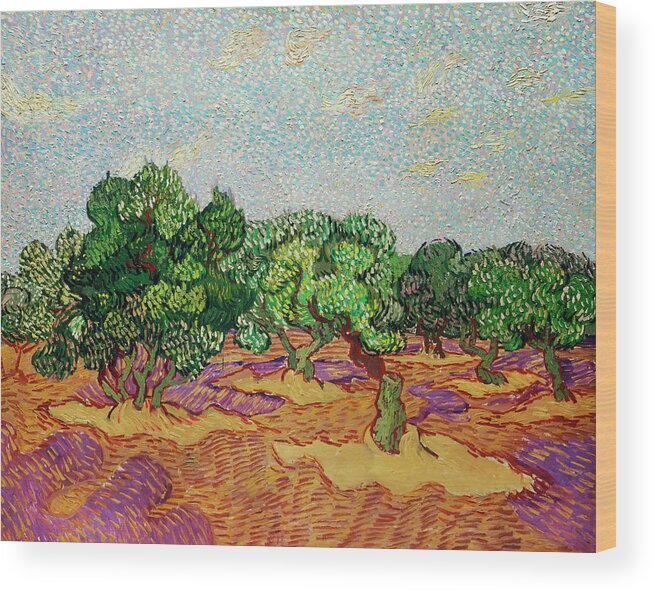 Olive Wood Print featuring the painting Olive Tree by Vincent van Gogh