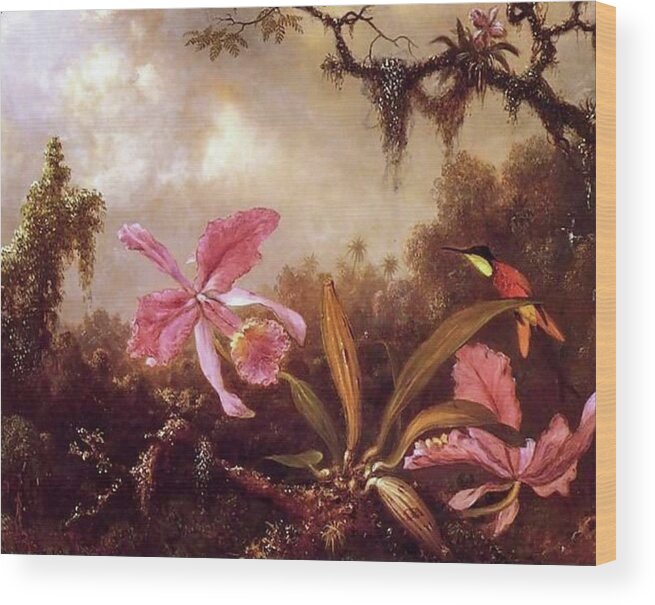 Martin Johnson Headetrochilidae Wood Print featuring the painting Orchids And Crimson Topaz Hummingbird by Martin Johnson Heade