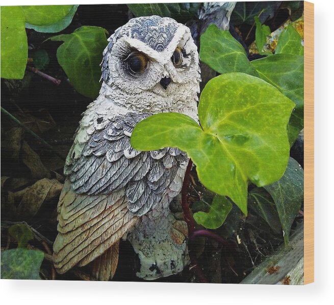 Bird Wood Print featuring the photograph Owl In Bushes by Andrew Lawrence