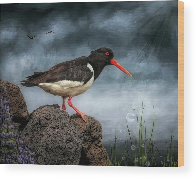 Oyster Catcher Wood Print featuring the digital art Oyster Catcher by Maggy Pease