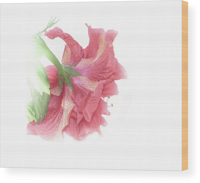 Shara Abel Wood Print featuring the photograph Painterly Pink by Shara Abel