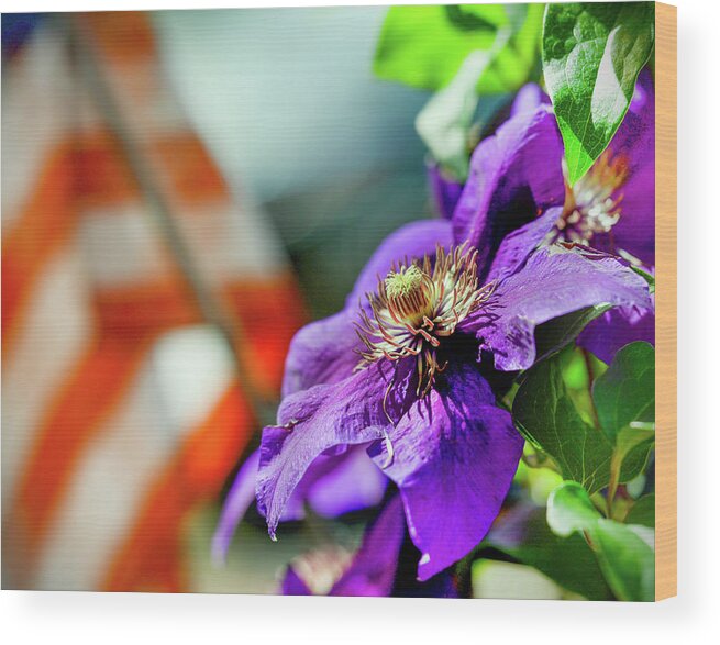 American Flag Wood Print featuring the photograph American flag with purple flower of honor by Cordia Murphy
