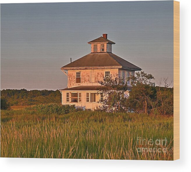 Pink House Wood Print featuring the photograph Pink House #2 by Steve Brown