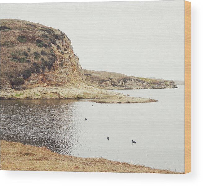Ocean Wood Print featuring the photograph Point Reyes Inlet by Lupen Grainne