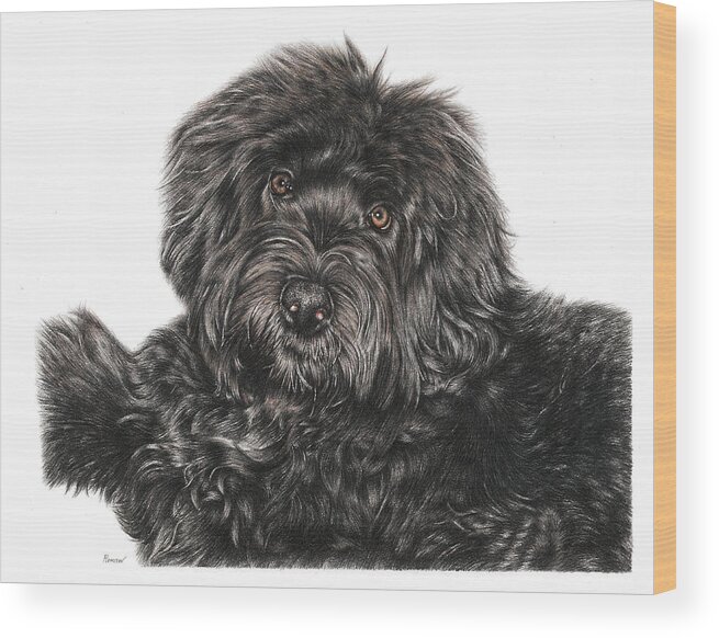 Portuguese Water Dog Wood Print featuring the drawing Portuguese Water Dog Toby by Casey 'Remrov' Vormer