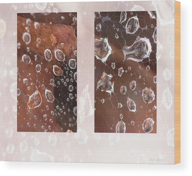 Raindrop Wood Print featuring the photograph Raindrops On Web by Karen Rispin