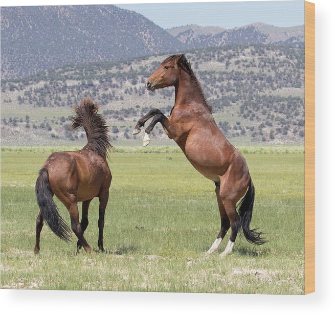 Eastern Sierra Wood Print featuring the photograph Rearing Bronco by Cheryl Strahl