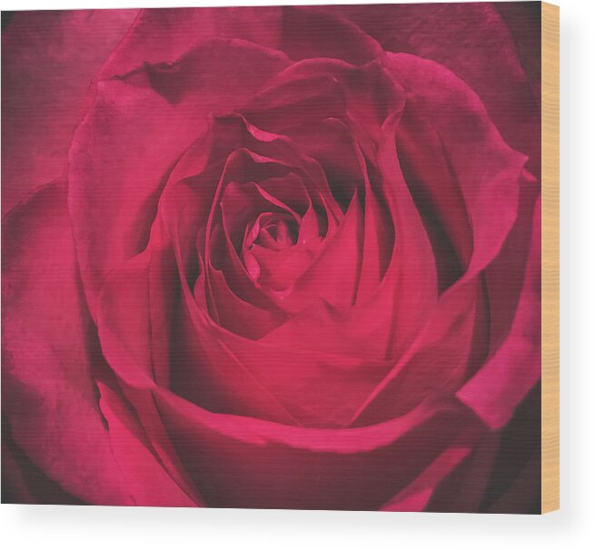 Red Wood Print featuring the photograph Red Rose by Anamar Pictures