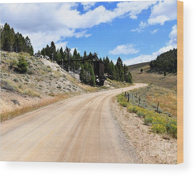 Comet Mine Wood Print featuring the photograph Road to the Comet Mine by Steve Brown