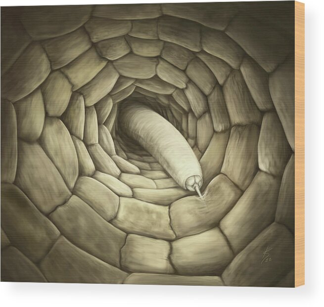 Nematode Wood Print featuring the digital art Root feeding nematode by Kate Solbakk