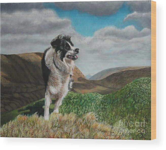Dog Wood Print featuring the painting Shep by Bob Williams