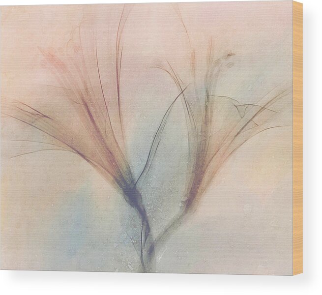 Lilies Wood Print featuring the digital art Soft Light Lilies by Cindy Collier Harris