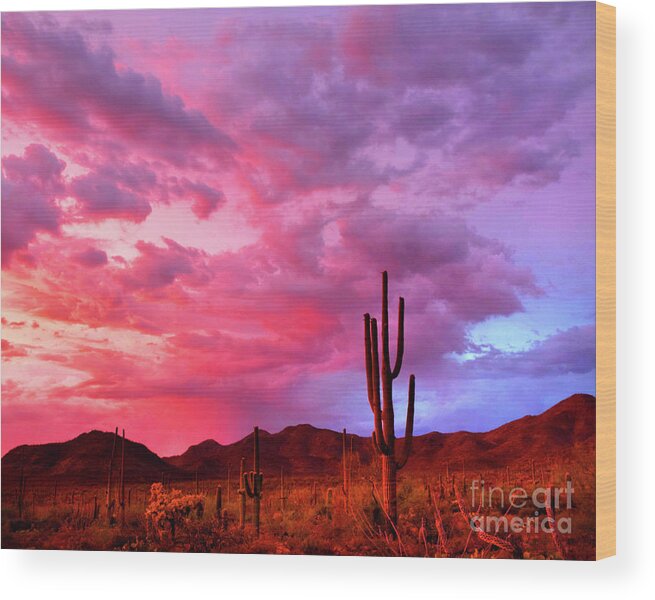 Sunset Wood Print featuring the photograph Sonoran Summer Sunset by Douglas Taylor