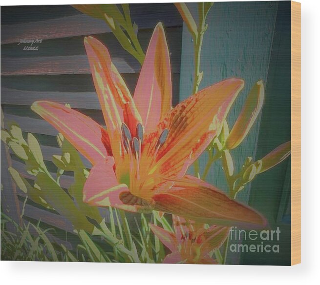 Lilly Wood Print featuring the photograph Summertime Road Side Ditch Lilly by John Anderson