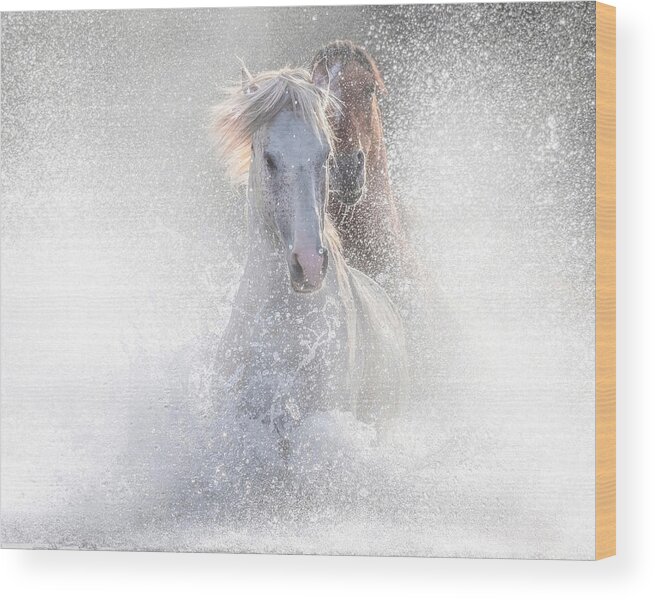 Stallion Wood Print featuring the photograph Surreal Chase in Color. by Paul Martin