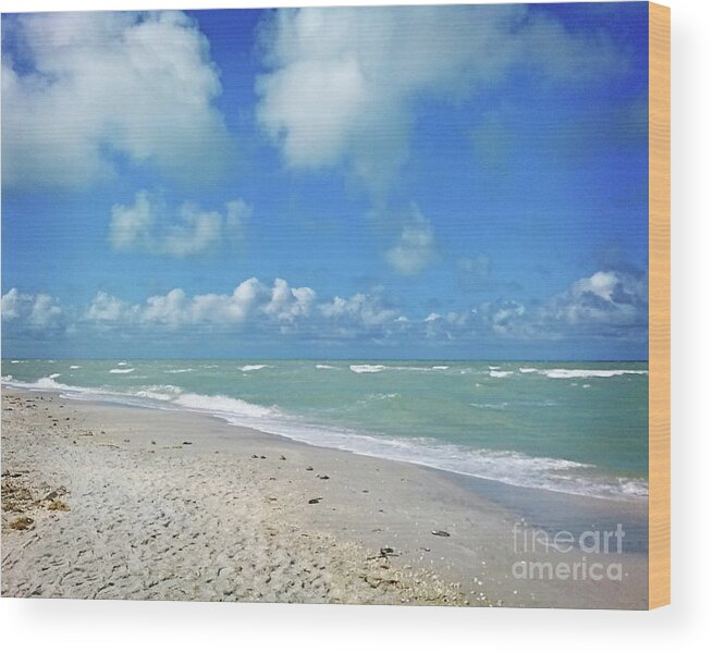 Florida Wood Print featuring the photograph Surroundings - Florida Beach Day by Chris Andruskiewicz